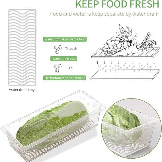 Meat Storage Container – Fresh-Keeping Box with Removable Drain Plate & Lid BuyMarto
